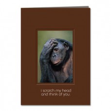 TREE FREE GREETING CARD The Simple Life